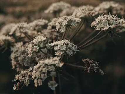 Body To Beyond (A Message From Your Guides)