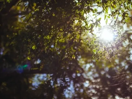 Body Tuning Sound Healing Session