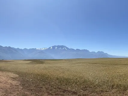 Body Wellness Meditation And Talk