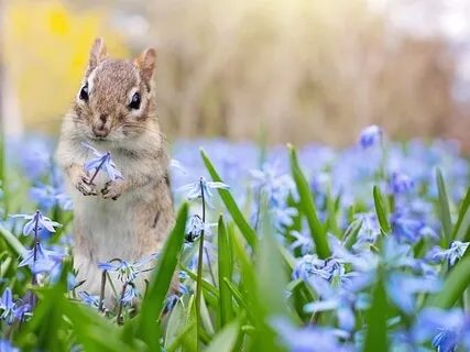 Body Wisdom - Morning Practice Longer Version