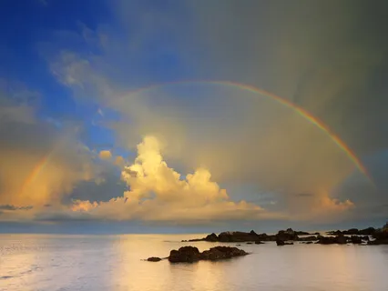 Bodyless, Everywhere