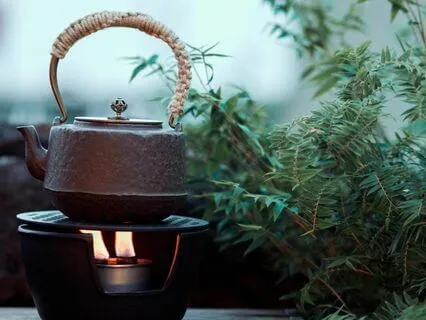 Boiling, Sizzling & Bubbling Water ASMR