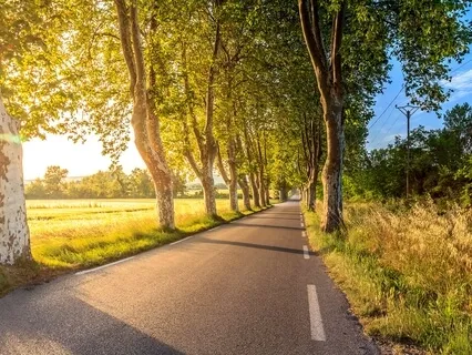 Bold Love Pledge: A Moving Meditation