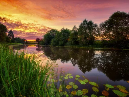 Bom Dia (Good Morning)