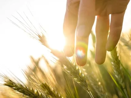 Bon dia! Meditació per els matins