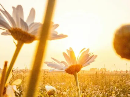 Bonding With Baby In Your Second Trimester