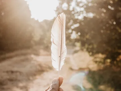 Bone-Deep Embodied Awareness With Skeleton Meditation