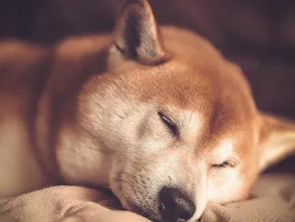 Bone Deep Sleep: 432 Hz Drone In C Major Pentatonic (1 Hour)
