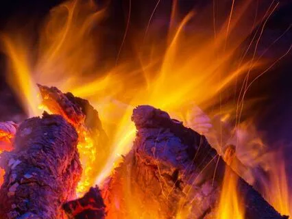 Bonfire In The Forest