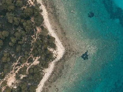 [BONUS] 5 Elements Practice In Honor Of Rodrigo Niño