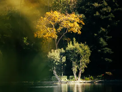 Bonus Day Meditation