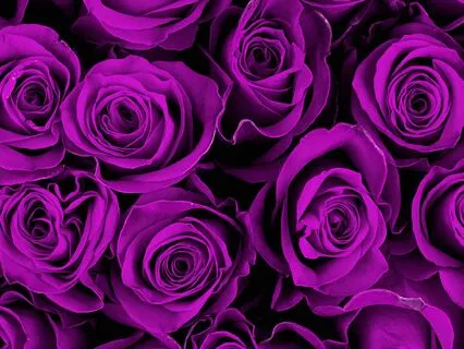 Boost & Balance Your Crown Chakra - Guided Energy Meditation