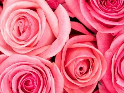 Boost & Balance Your Heart Chakra - Guided Energy Meditation