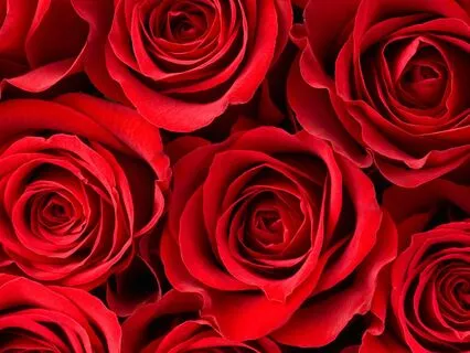 Boost & Balance Your Root Chakra - Guided Energy Meditation