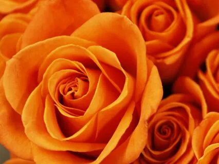 Boost & Balance Your Sacral Chakra -Guided Energy Meditation