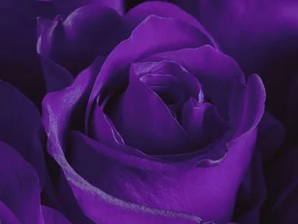 Boost Balance Your Third Eye Chakra-Guided Energy Meditation