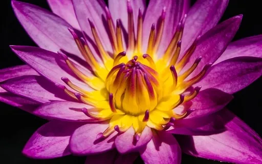 Boost Your Creativity Through Your Chakras