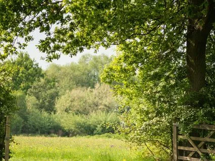 Boost Your Immune System: 5-Minute Visualization