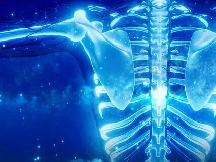 Boost Your Immune System