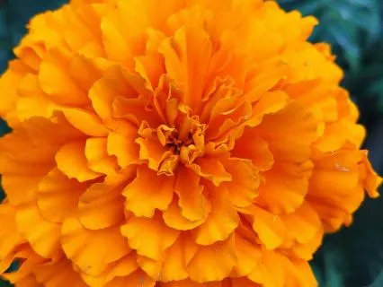 Boost Your Self Confidence! Finding Fierce Faith In Yourself