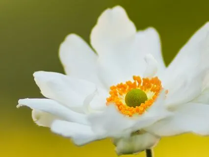 Boost Your Self-Confidence