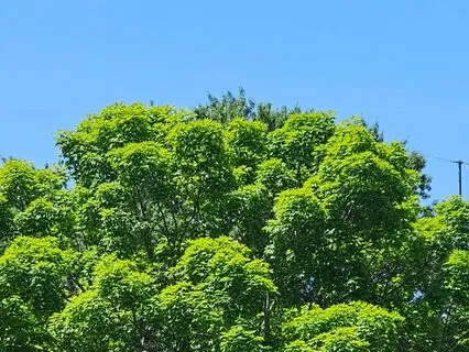 Boost Your Self Love