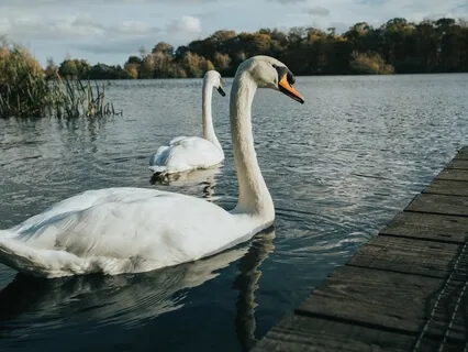 Boosta din kropp med andetaget