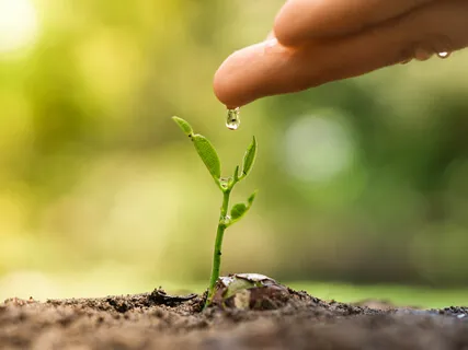 Boosting Resilience & Hope In Response To Coronavirus 