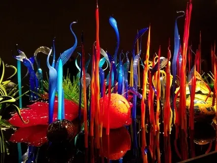 Boosting Your Immune System - Co-Creative