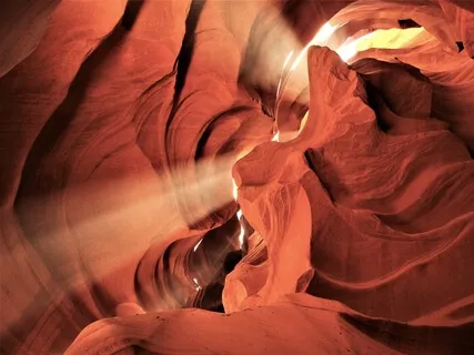 Boosting Your Immunity In The Time Of Coronavirus