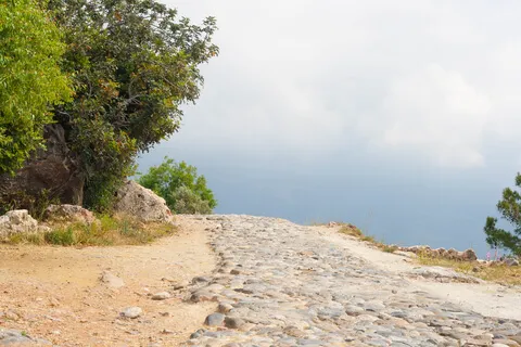 Борьба Со Стрессом, Улучшение Работы Мозга