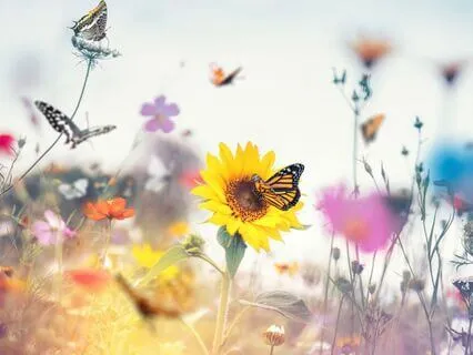 Born Again 10: Life That Never Fades