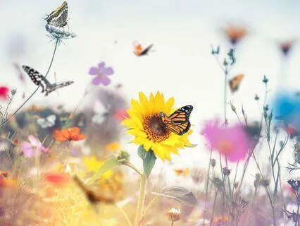 Born Again 4: Wind Of The Spirit