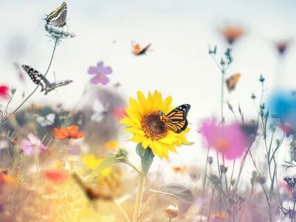 Born Again 7: Only What God Gives Is From The Heavens