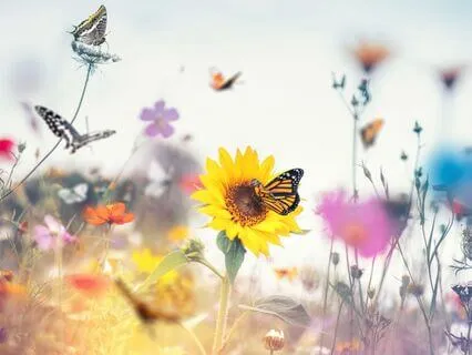 Born Again 8: My Joy Is Complete