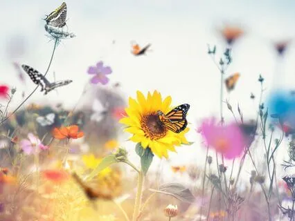 Born Again 9: Spirit Without Limits