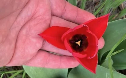 Both Sides Of The Earth