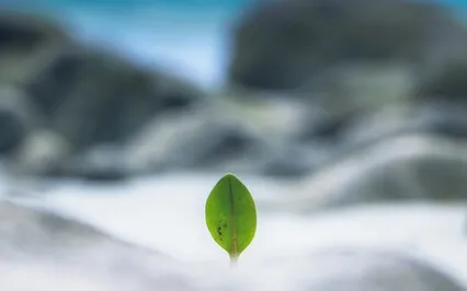 Boundaries – Addiction Recovery