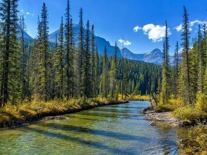 Boundaries Affirmations