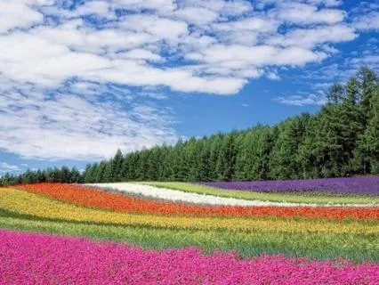 Boundaries And Alignment Empower Love