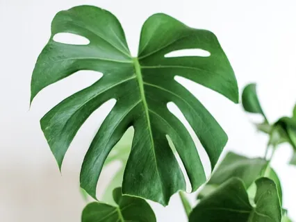 Boundaries Meditation (Introduction)