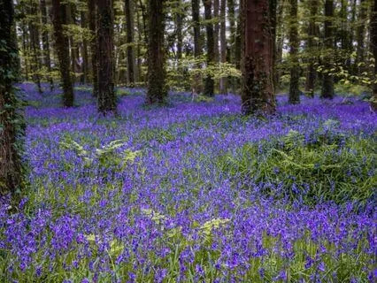 Boundaries Meditation