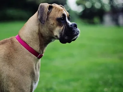 Boundaries Over Pleasing Others