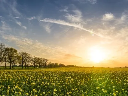 Boundaries: The Foundation To Healthy Relationships At Work, In Love, & At Home