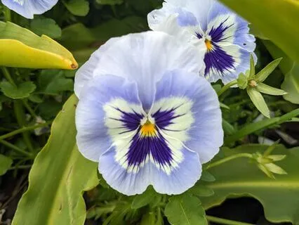 Boundless | Mindful Motivation