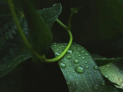 "Boundless" - Music With Rain Sounds For Deep Sleep