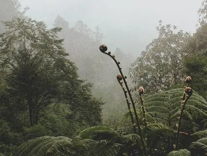 Box Belly Breathing To Ease Anxiety & Help You Fall Asleep