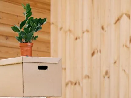 Box Breath Counted Guidance (No Instruction, No Music)