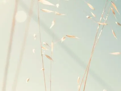 Box Breath For Calm And Stress Relief