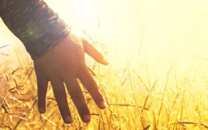 Box Breath For Inner Balance 